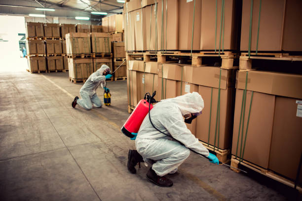 Best Pest Removal Services  in Sandwich, IL