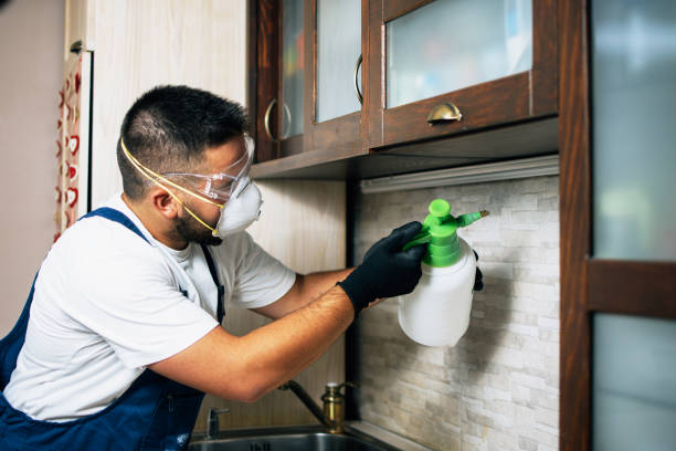 Pest Control Cost in Sandwich, IL