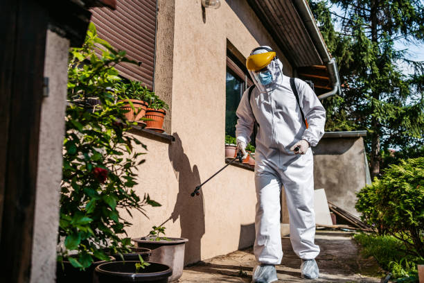 Best Residential Pest Control  in Sandwich, IL