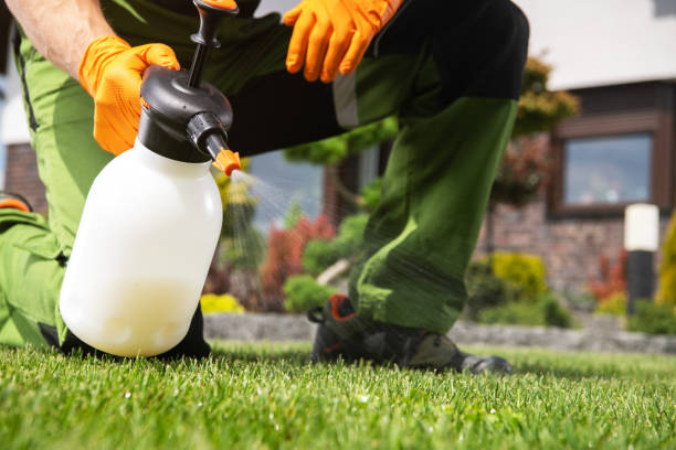 Best Local Pest Control Services  in Sandwich, IL