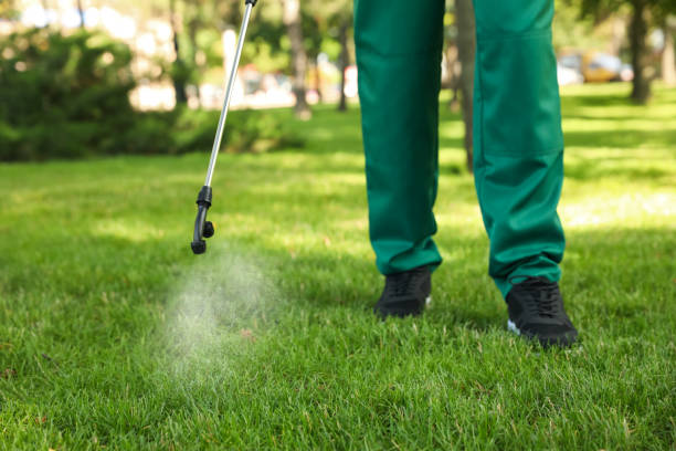 Best Pest Inspection Near Me  in Sandwich, IL