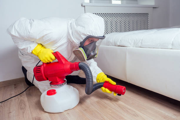 Best Affordable Pest Control Services  in Sandwich, IL
