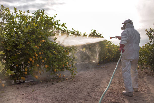 Best Pest Prevention Services  in Sandwich, IL