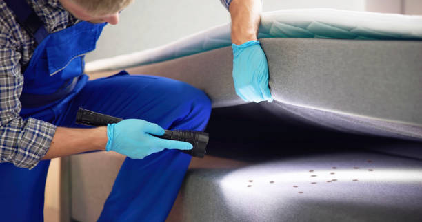 Reliable Sandwich, IL Pest Control Solutions
