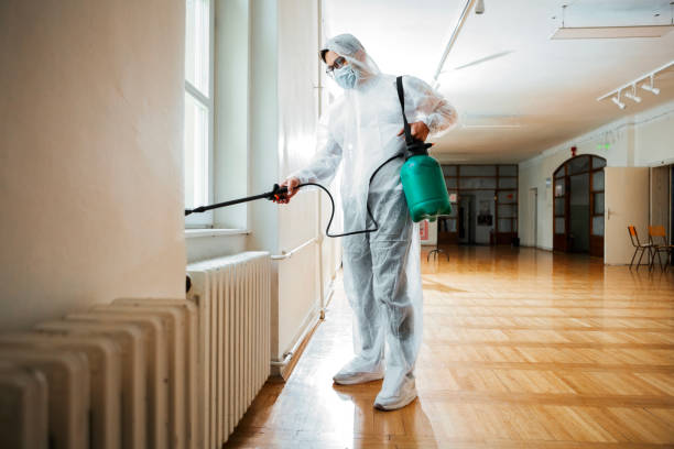 Best Residential Pest Control  in Sandwich, IL