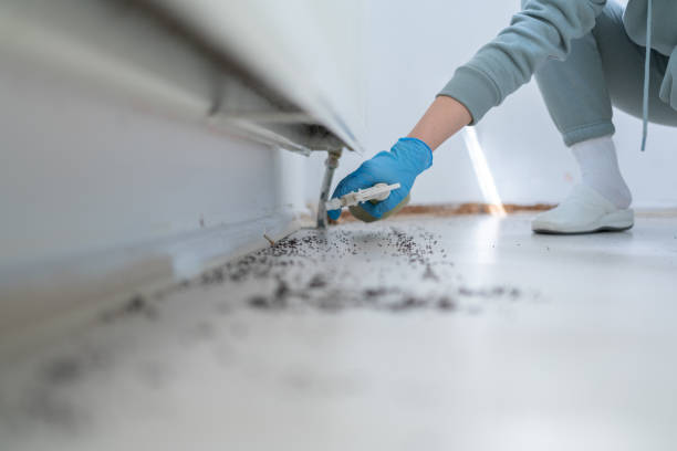 Best Exterminator Services  in Sandwich, IL