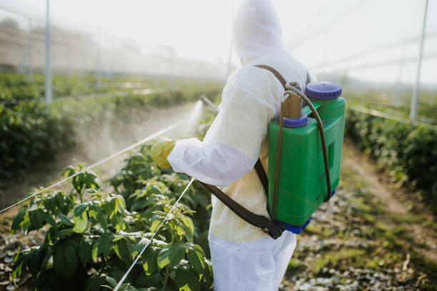 Best Emergency Pest Control  in Sandwich, IL